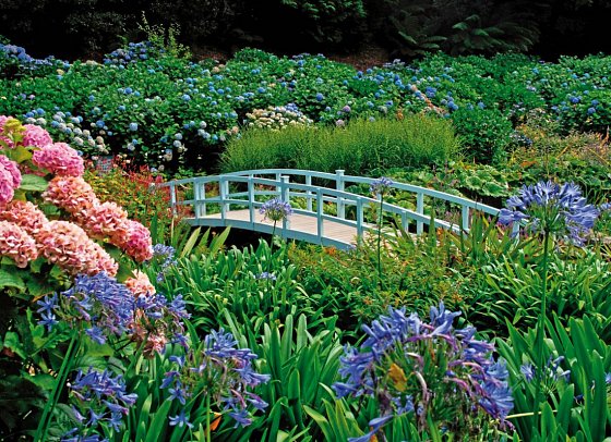Idyllisches Südengland - Trebah Garden, Cornwall