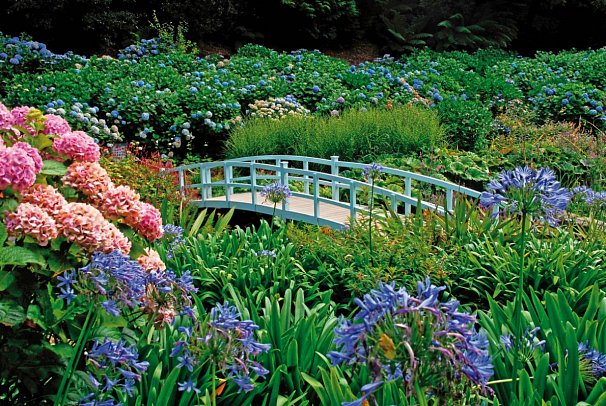 Südengland für Einsteiger - Trebah Garden, Cornwall