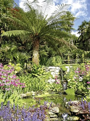 Südengland aktiv erleben - Trebah Gardens