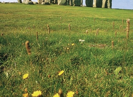Südengland aktiv erleben - Stonehenge