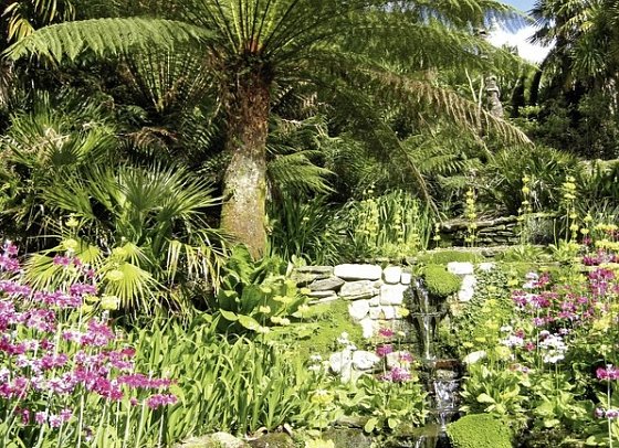 Südengland aktiv erleben - Trebah Gardens
