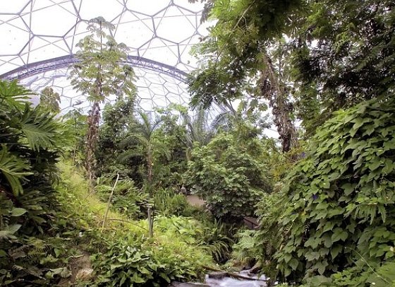 Südengland aktiv erleben - Eden Project