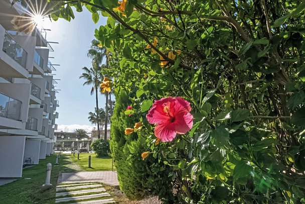 El Palmar