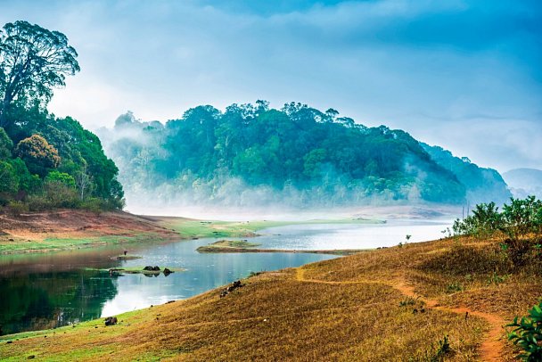 Südindien zum Kennenlernen - Periyar-Nationalpark