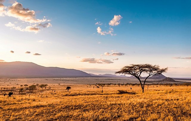 Die große Kenia Safari - Masai Mara