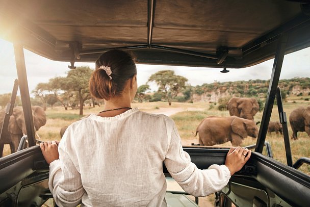 Die große Kenia Safari - Pirschfahrt