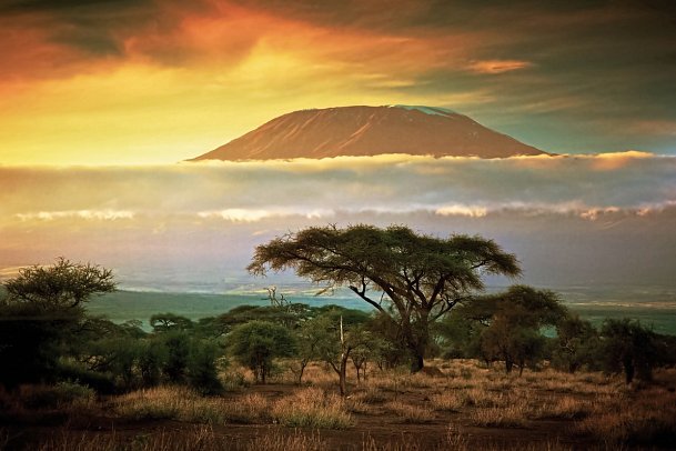 Die große Kenia Safari - Amboseli Nationalpark