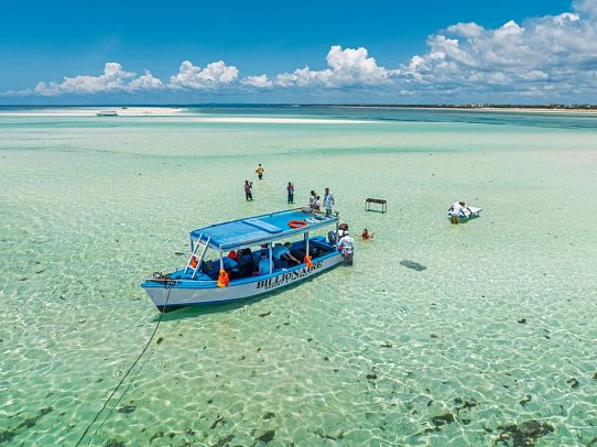 Billionaire Resort & Retreat