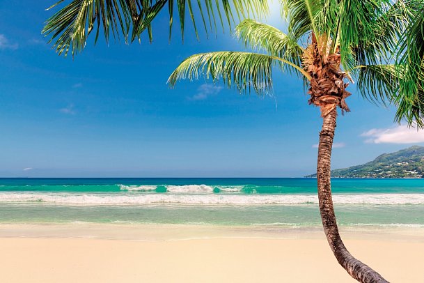 Reggae, Rum und Me(h)er