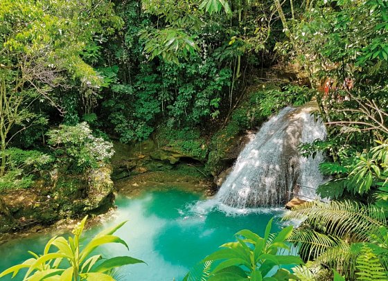 Reggae, Rum und Me(h)er - Blue Hole, Ocho Rios