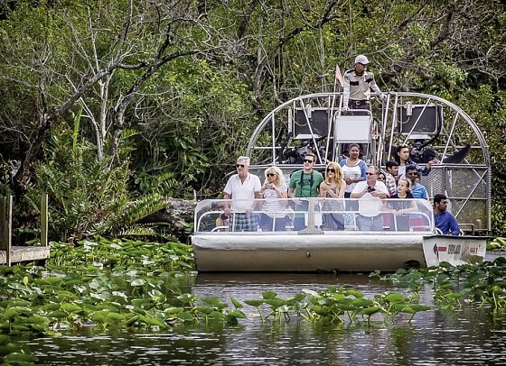 Sunshine State - Everglades