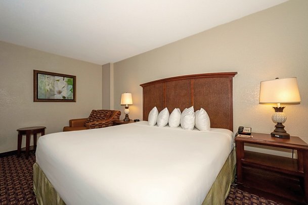 Rosen Inn closest to Universal - Wohnbeispiel Standard