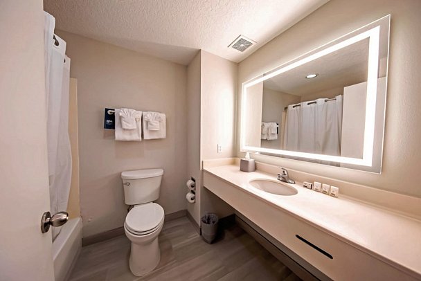 Holiday Inn Express Clermont West Orlando - Wohnbeispiel Bad (Zimmercodierung UG4)