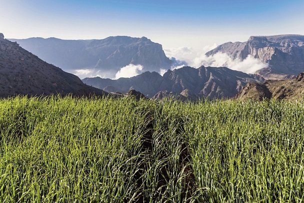Alila Jabal Akhdar - Jebel Al Akhdar