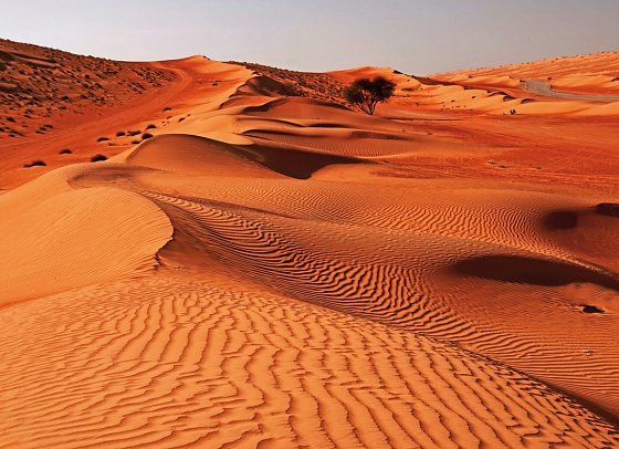 Das Königreich Oman zu Fuß entdecken - Wahiba Sands