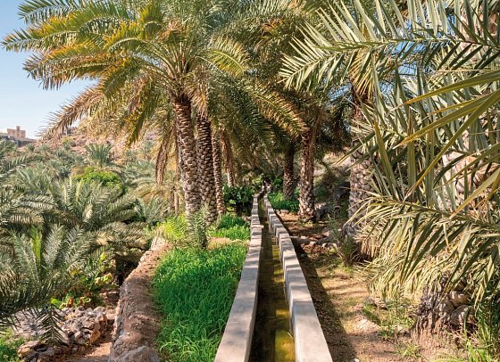 Das Königreich Oman zu Fuß entdecken - Falaj-Bewässerung