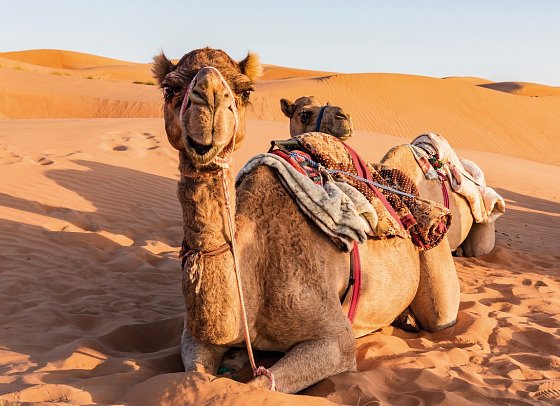 Oman entdecken