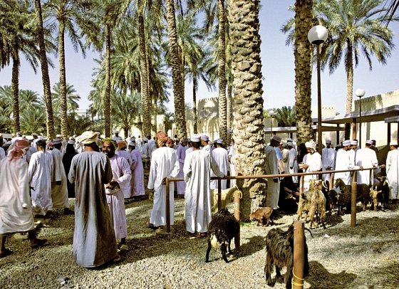 Oman entdecken - Nizwa