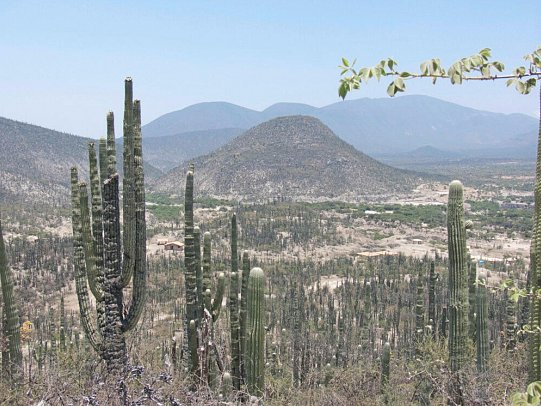 Ruta del Sabor: Kulinarik, Kultur & Küste