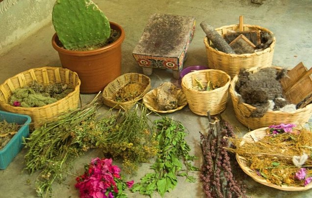 Ruta del Sabor: Kulinarik, Kultur & Küste