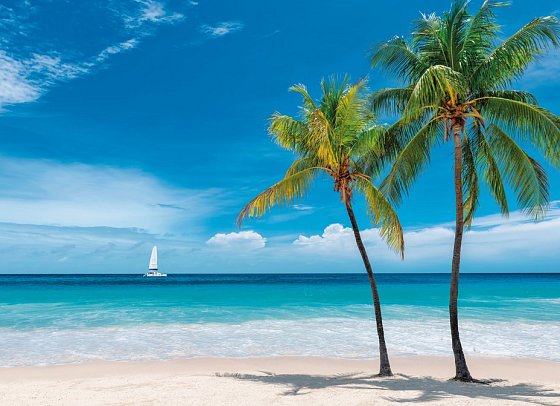 Florida Intensiv - Key West, Paradise Beach