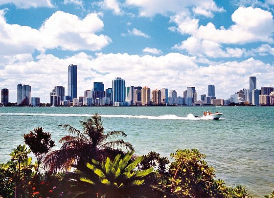 Florida Intensiv - Miami Skyline