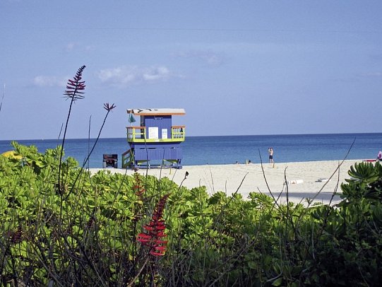 Florida Intensiv - Miami Beach