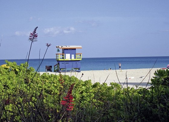 Florida Intensiv - Miami Beach