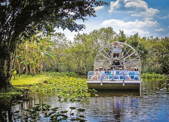 Florida Intensiv - Everglades