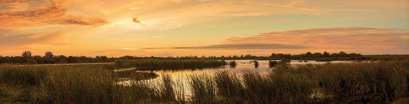 Florida Sunshine State - Everglades Nationalpark