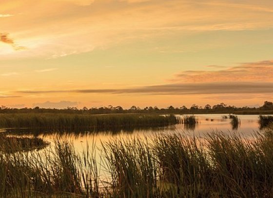 Florida Sunshine State - Everglades Nationalpark