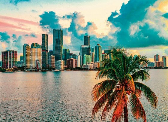 Florida Sunshine State & Beach (Standard-Variante) - Miami