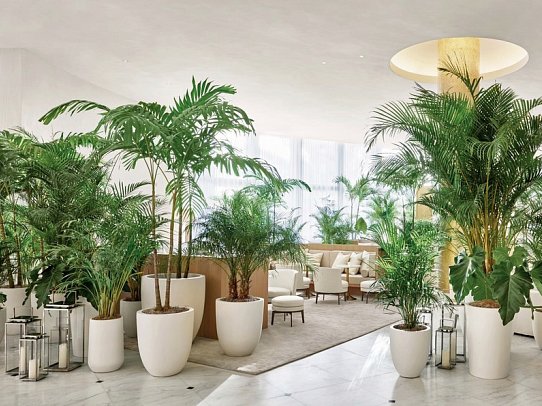 The Miami Beach EDITION