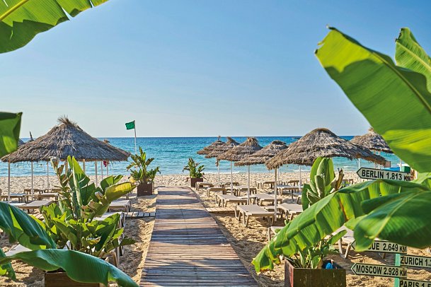 Royal Nozha Beach