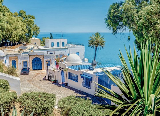Tunesiens Schätze - kulturelle und kulinarische Höhepunkte - Sidi Bou Said