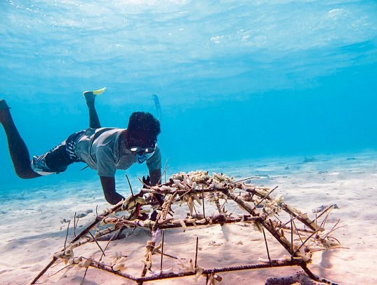 Banyan Tree Vabbinfaru
