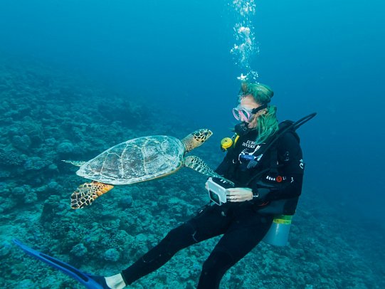 Eri Maldives - Modellbild