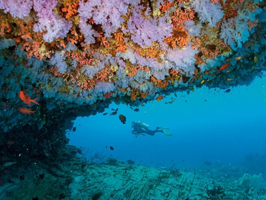 Eri Maldives - Modellbild