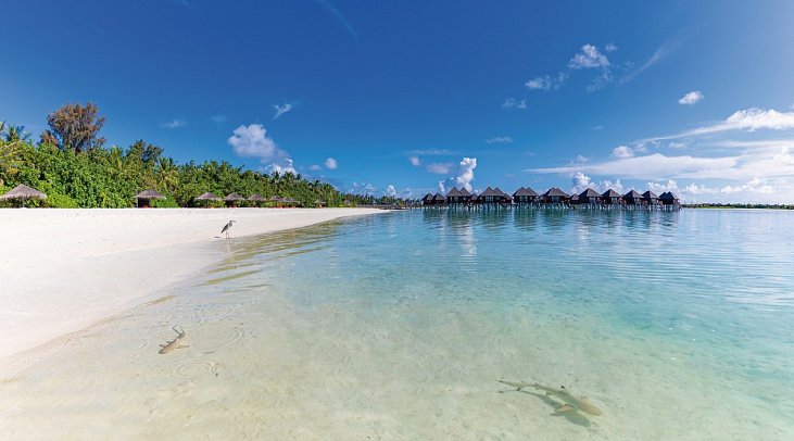 Sun Siyam Olhuveli Maldives