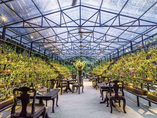 One&Only Reethi Rah - Restaurant Botanica