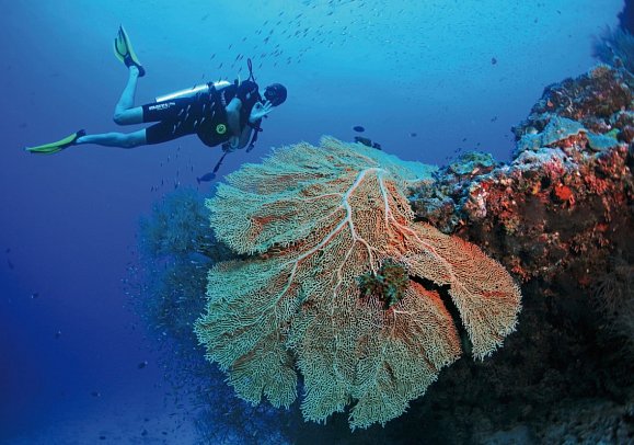 Amilla Maldives