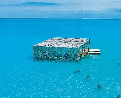 Sirru Fen Fushi, Private Lagoon Resort - Coralarium