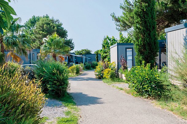 Domaine Les Mûriers