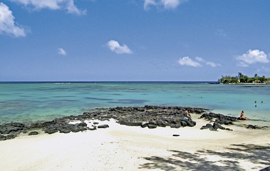 Ocean Beauty
