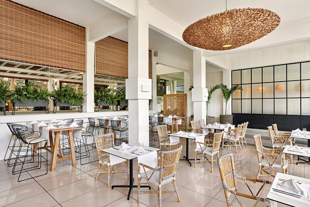 The Ravenala Attitude