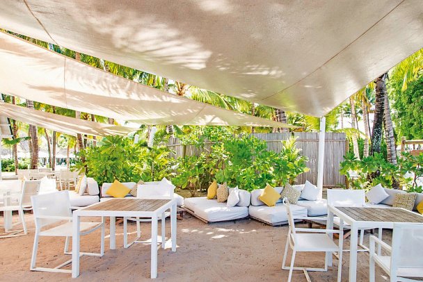 The Ravenala Attitude