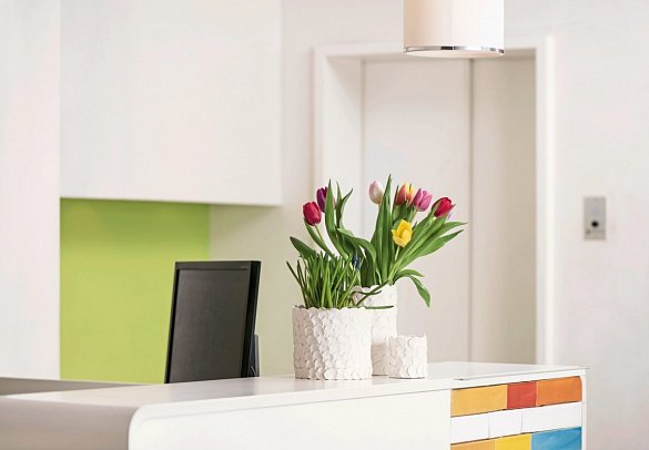 Creatif Hotel Elephant