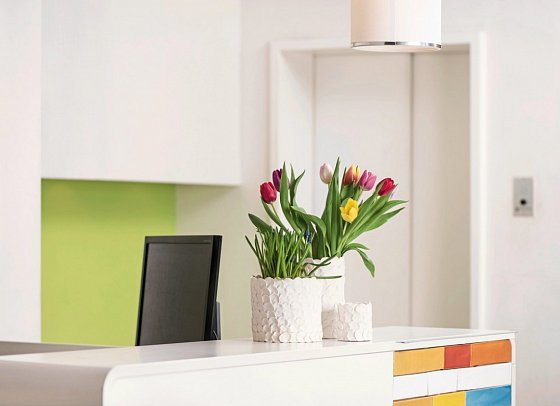 Creatif Hotel Elephant