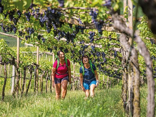 Wandertour Garmisch-Meran - Weinberg am Kalterer See