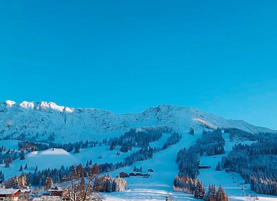 Hotel-Alpengasthof 